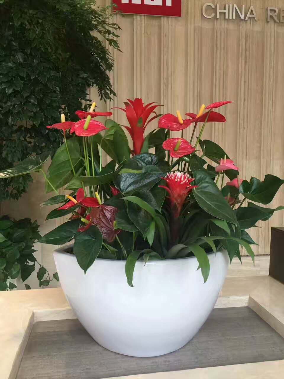 市人大考察組赴陜西甘肅考察林果花卉產業