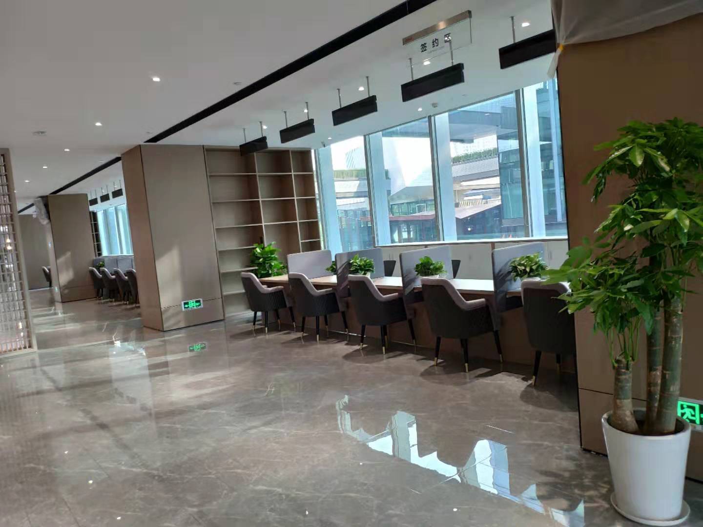 西安蓮湖區綠植租賃公司，西安綠植墻