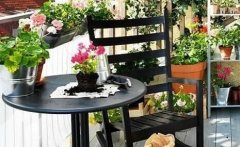 家里擺上花卉的6大好處,不但能凈化空氣,關(guān)鍵