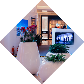 商場(chǎng)綠植租擺