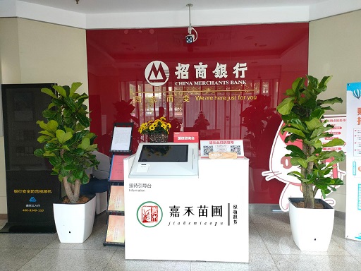 西安銀行綠植花卉租賃案例|西安嘉禾苗圃 西安銀行綠植花卉租賃案例|西安嘉禾苗圃