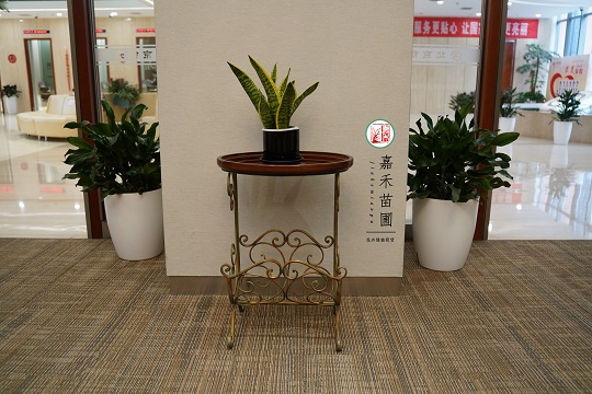 銀行綠植租賃布置|西安嘉禾苗圃 銀行綠植租賃布置|西安嘉禾苗圃