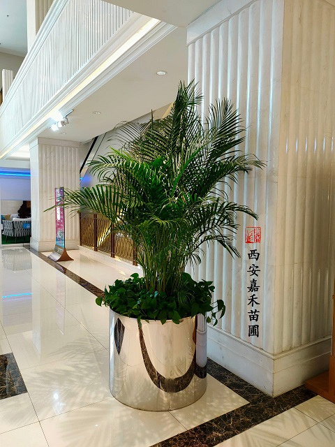 西安銀行花卉租擺電話|15202909185西安嘉禾苗圃