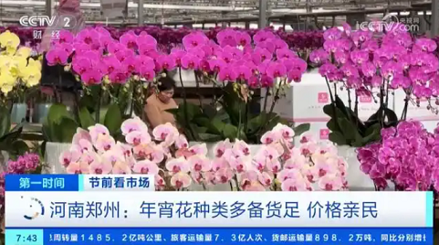 20250111/6781cc0a8fec9.png QQ20250111-093621.png