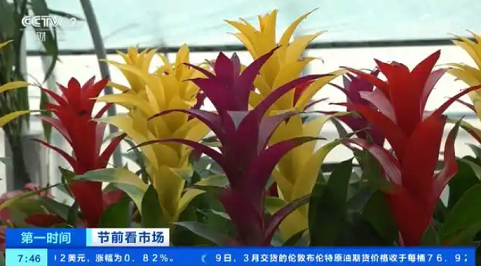 20250111/6781cc3e781d5.png QQ20250111-093705.png