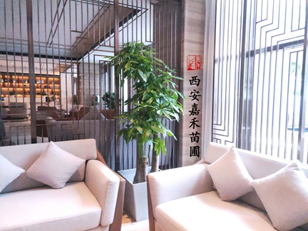 秋冬季節,3種花需要“懶養”,澆水越多越爛根,管住手!