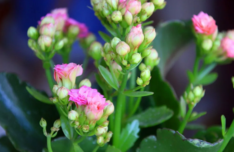 20251220/69464f9e5169c.png QQ20251220-152330.png